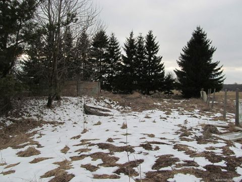 Foto 88